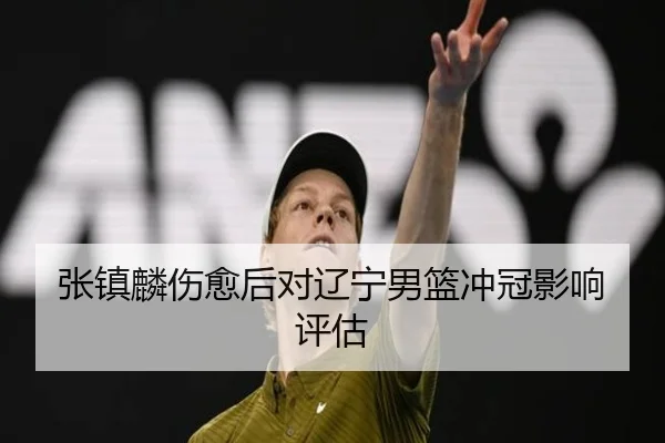 张镇麟伤愈后对辽宁男篮冲冠影响评估